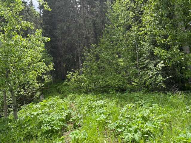 Fourth View of 229 Mountain Lion Drive , Wintergreen_BC, Bragg Creek, Alberta, T0L 0K0