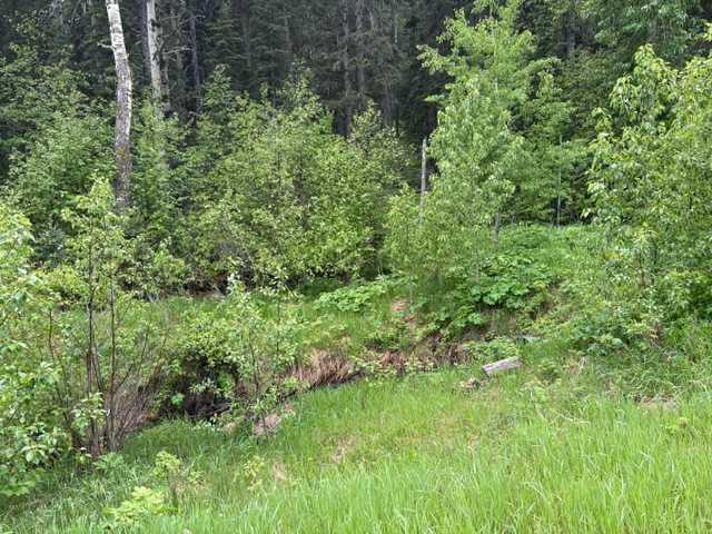 Fifth View of 229 Mountain Lion Drive , Wintergreen_BC, Bragg Creek, Alberta, T0L 0K0