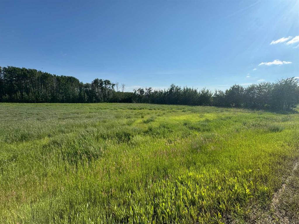 Third View of Lot 5, NW-36-70-7-W6 PART OF  NW, NONE, Rural Grande Prairie No. 1, County of, Alberta, T8W 5C7