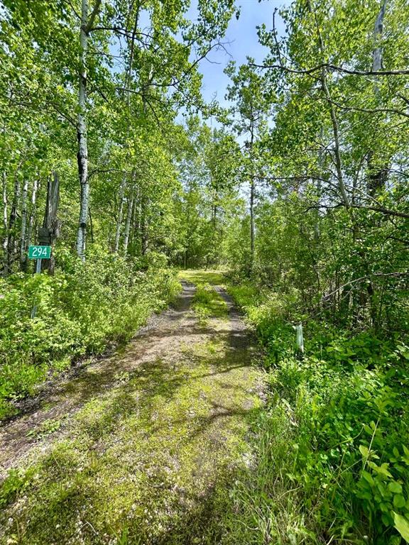 294, 63303 867 Highway , A2321001, Alberta,
