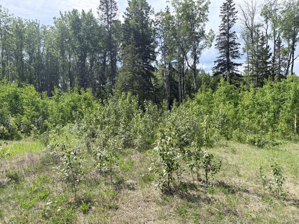 Third View of Block 1 Lot 5 Elk Ridge Estates  , NONE, Rural Woodlands County, Alberta, T7S 1N9