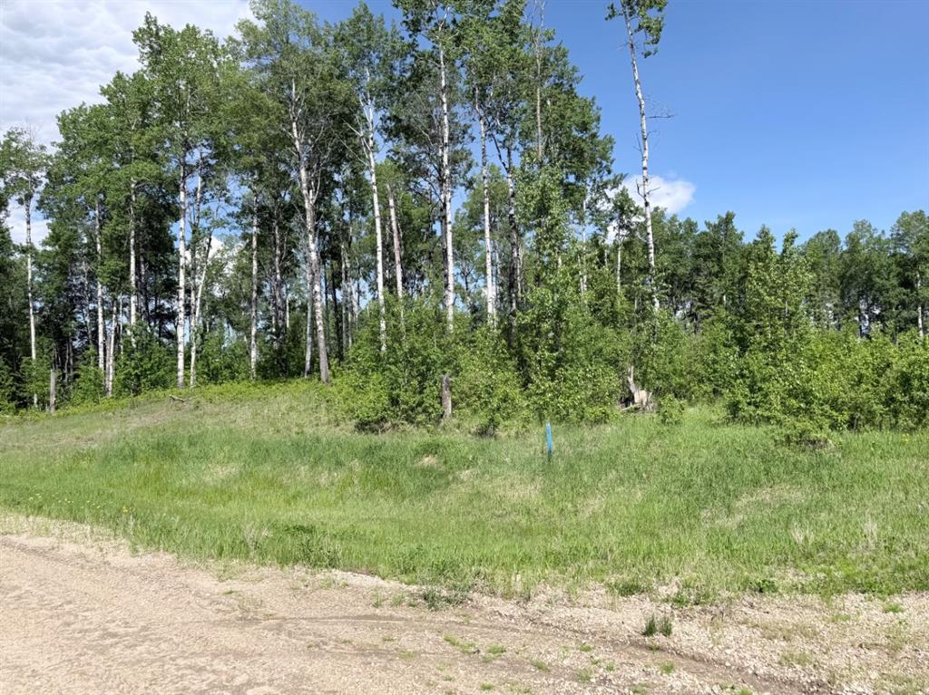 Block 1 Lot 6 Elk Ridge Estates  , A2322053, Alberta,