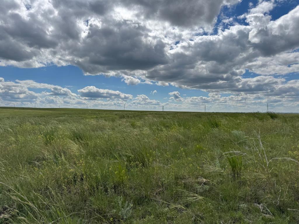 Third View of Blk 6 Range Road 43  , NONE, Rural Cypress County, Alberta, T1B4C7