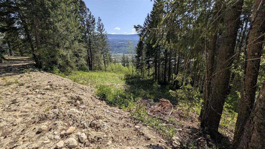 Third View of Site #12, 13 , 14, 3483 Highway 95  , NONE, Out of Province_Alberta, British Columbia, V0A 1A4