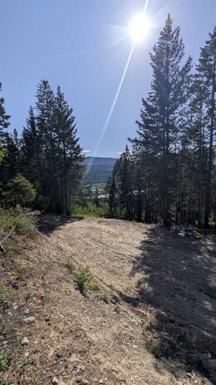 Fifth View of Site #12, 13 , 14, 3483 Highway 95  , NONE, Out of Province_Alberta, British Columbia, V0A 1A4