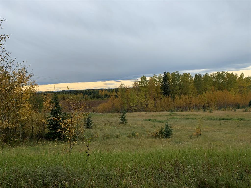 Third View of Highway 16 and Range Road 184  , NONE, Rural Yellowhead County, Alberta, T7E 3B4