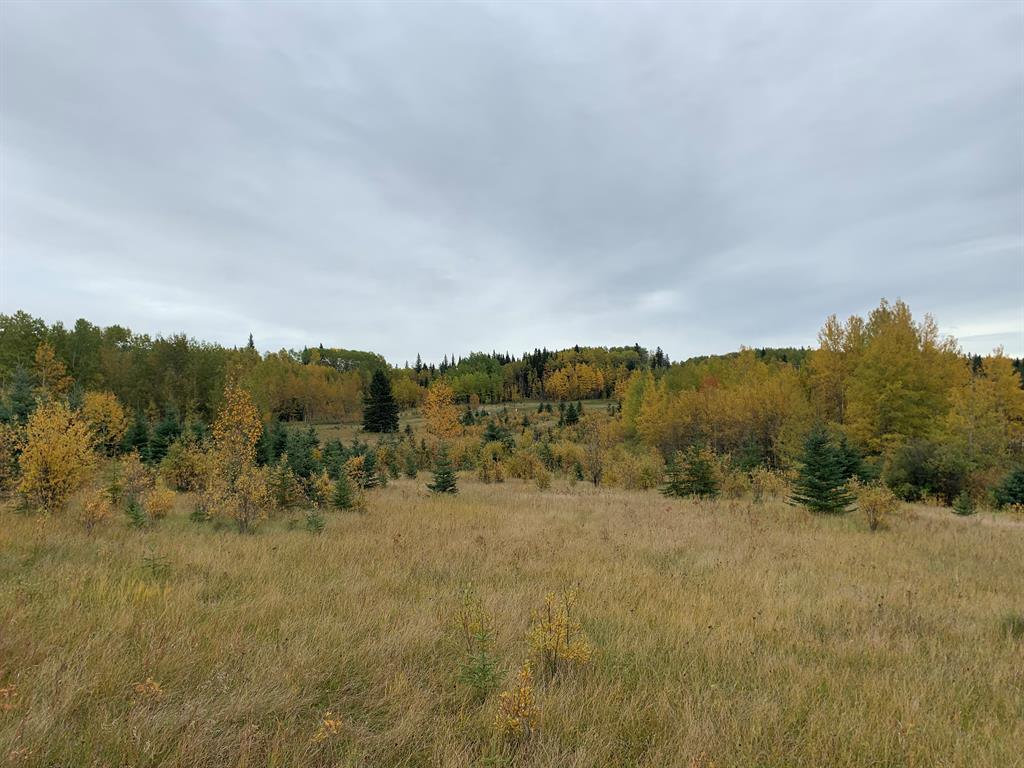 Fourth View of Highway 16 and Range Road 184  , NONE, Rural Yellowhead County, Alberta, T7E 3B4