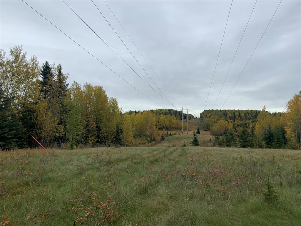 Fifth View of Highway 16 and Range Road 184  , NONE, Rural Yellowhead County, Alberta, T7E 3B4