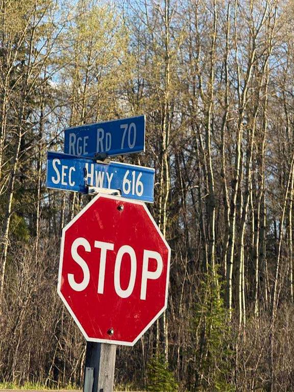 Fourth View of 616 Hyw  , NONE, Rural Brazeau County, Alberta, T7A1R9