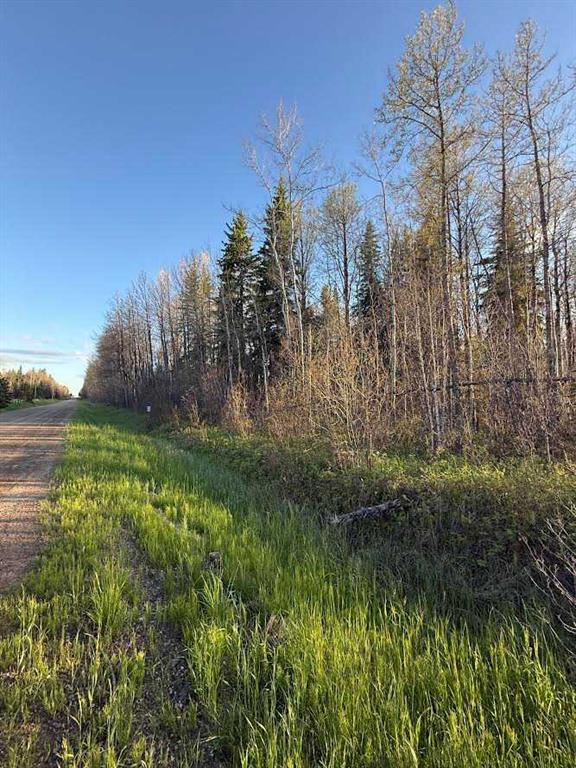 Fifth View of 616 Hyw  , NONE, Rural Brazeau County, Alberta, T7A1R9