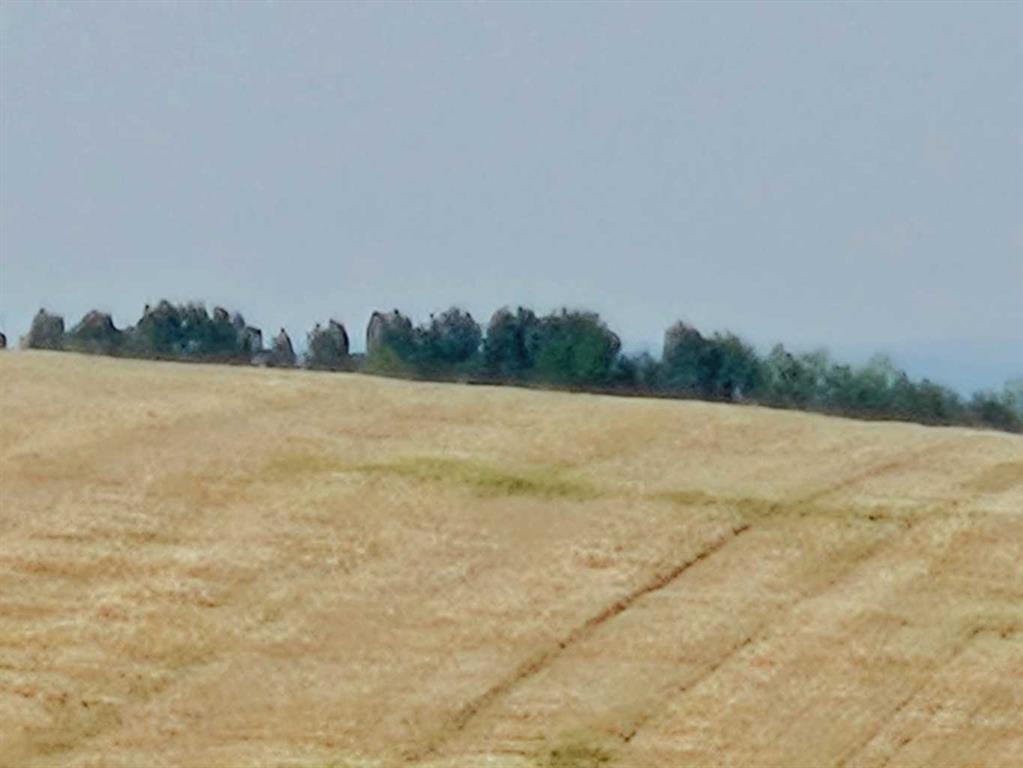 Fourth View of  Symons Valley  , NONE, Rural Rocky View County, Alberta, T4B 3L5