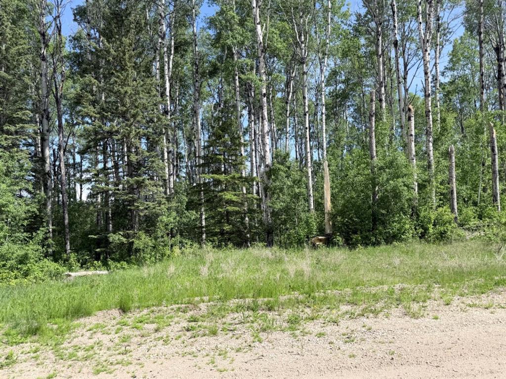 Third View of Block 1 Lot 7 Elk Ridge Estates  , NONE, Rural Woodlands County, Alberta, T7S 1N9