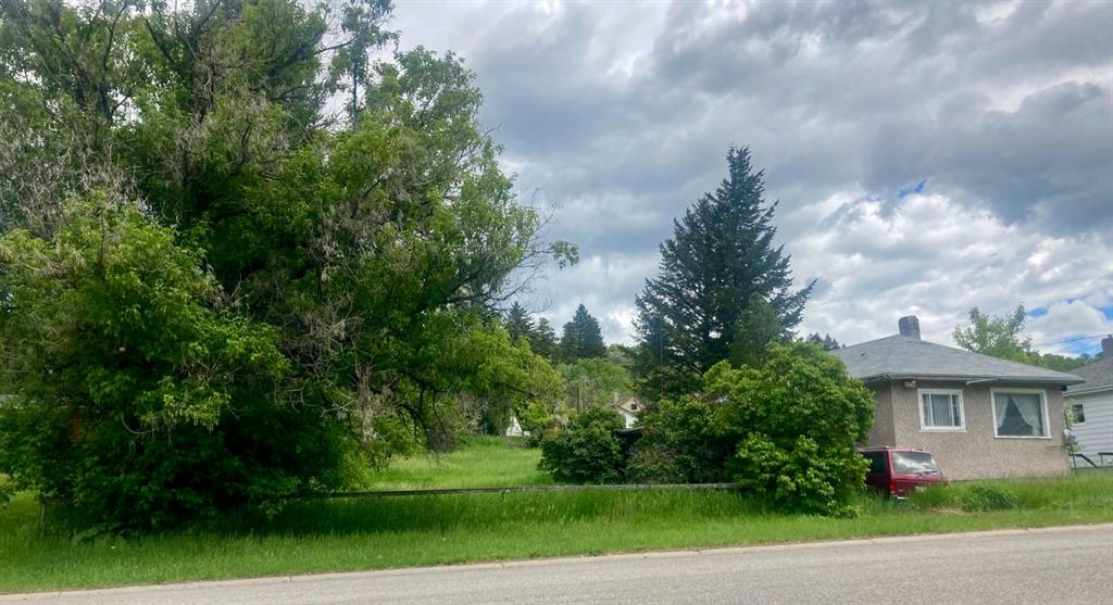 Fourth View of 14821 21 Avenue , NONE, Frank, Alberta, T0K 0E0