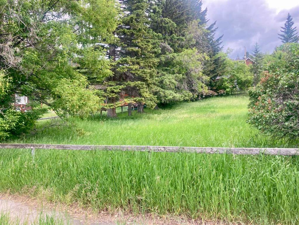 Fifth View of 14821 21 Avenue , NONE, Frank, Alberta, T0K 0E0