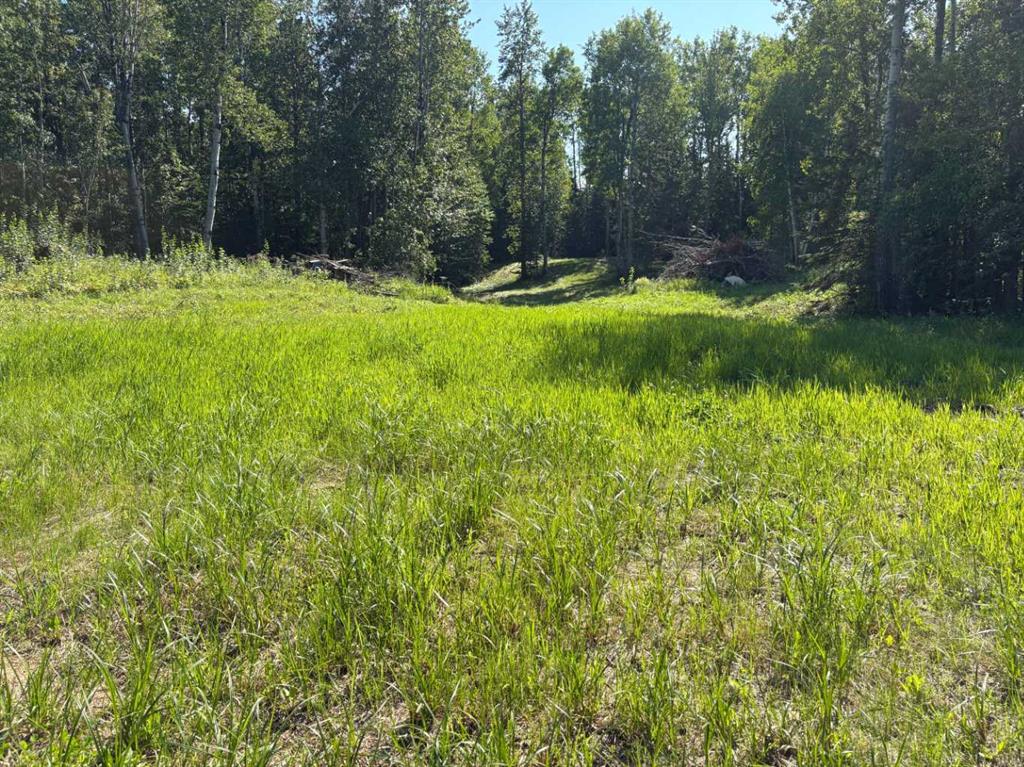 Second View of 62 Lakeview Heights , NONE, Canyon Creek, Alberta, T0G 0M0