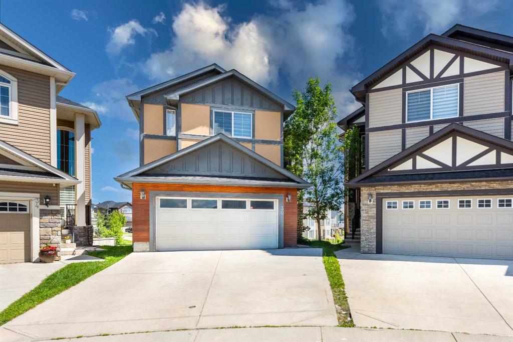 30 Saddlelake View NE, A2324099, Alberta,