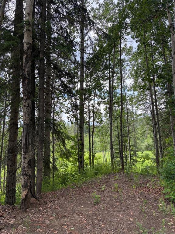 Third View of  Lot 20 Block 1  , Dunes, Rural Grande Prairie No. 1, County of, Alberta, T8W 5K2