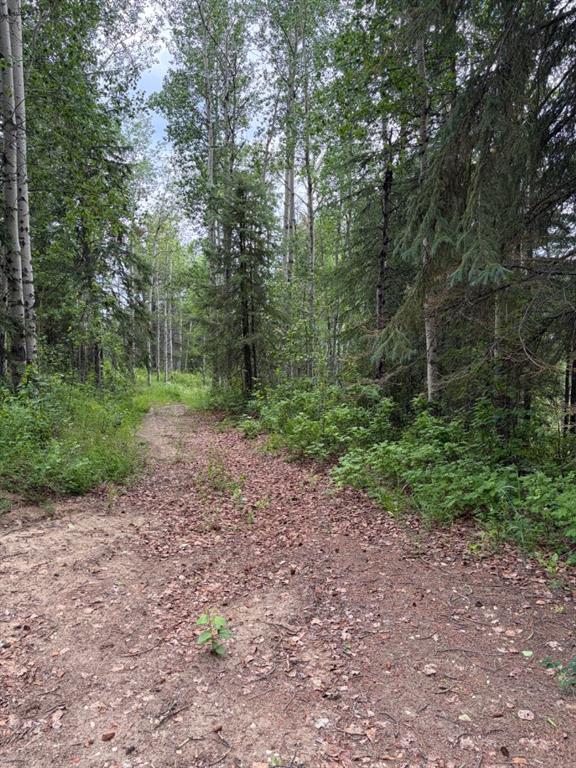 Fourth View of  Lot 20 Block 1  , Dunes, Rural Grande Prairie No. 1, County of, Alberta, T8W 5K2