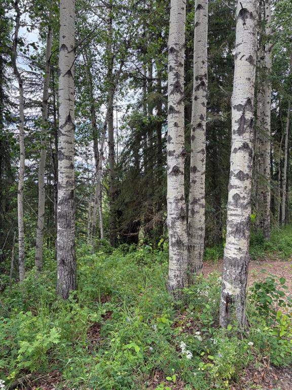 Fifth View of  Lot 20 Block 1  , Dunes, Rural Grande Prairie No. 1, County of, Alberta, T8W 5K2