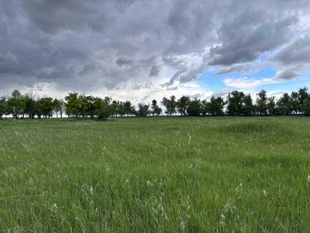 Main View of  164  , NONE, Rural Vulcan County, Alberta, T0L 2B0