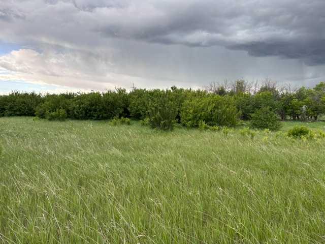 Third View of  164  , NONE, Rural Vulcan County, Alberta, T0L 2B0