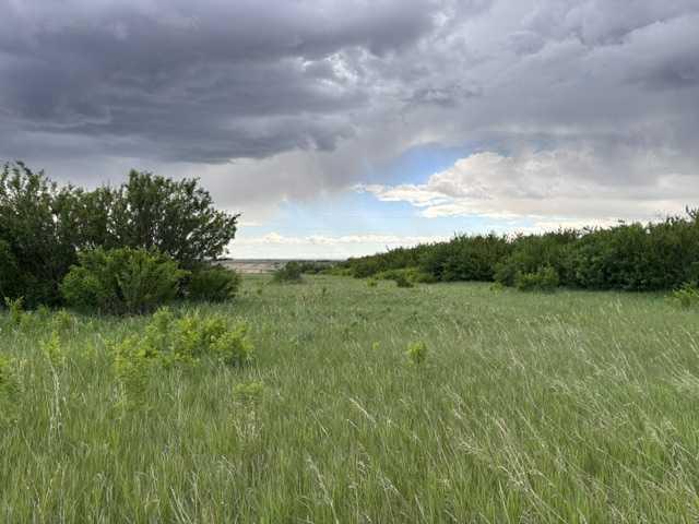 Fourth View of  164  , NONE, Rural Vulcan County, Alberta, T0L 2B0