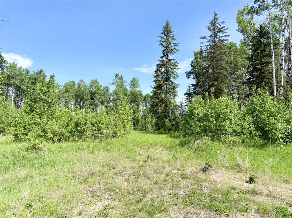 Fourth View of Block 1 Lot 9 Elk Ridge Estates  , NONE, Rural Woodlands County, Alberta, T7S 1N9