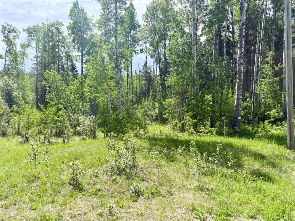 Third View of Block 2 Lot 8 Elk Ridge Estates  , NONE, Rural Woodlands County, Alberta, T7S 1N9