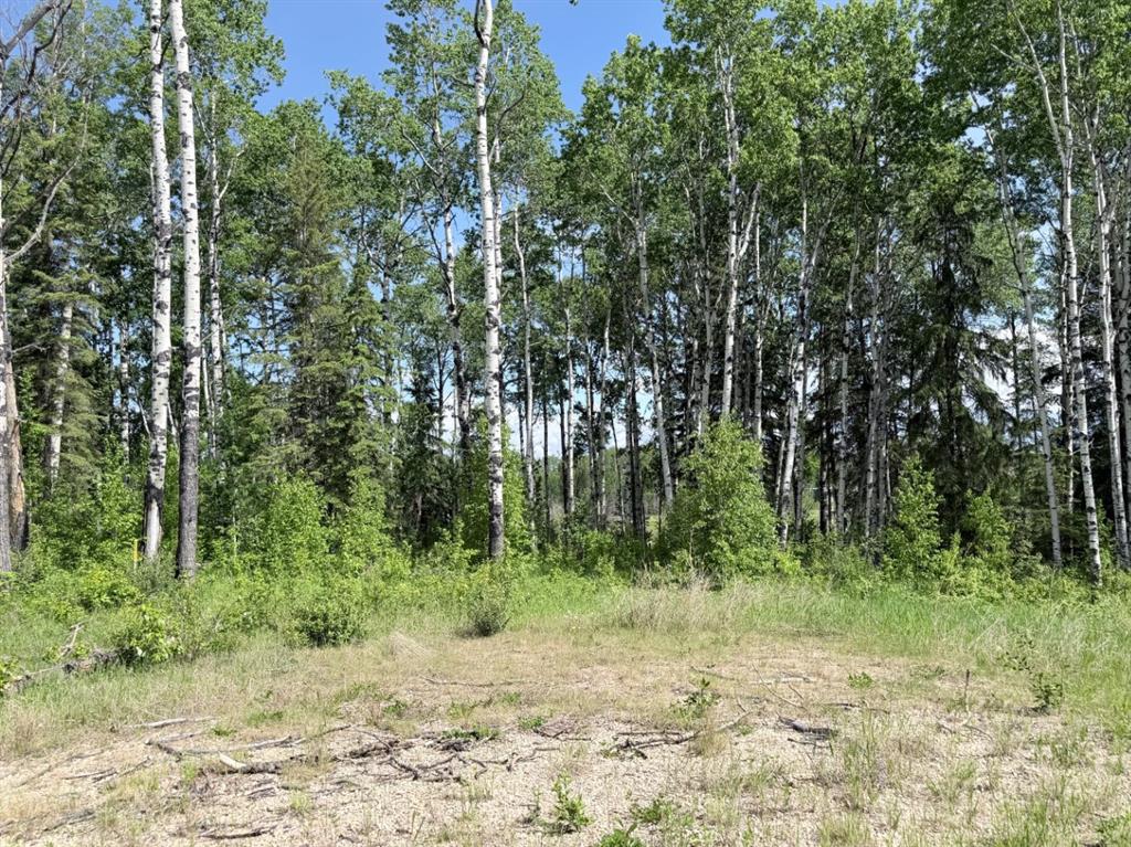 Fourth View of Block 2 Lot 7 Elk Ridge Estates  , NONE, Rural Woodlands County, Alberta, T7S 1N9