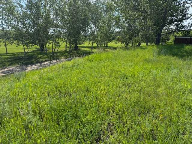 3 Oxford Drive , A2324447, Alberta,