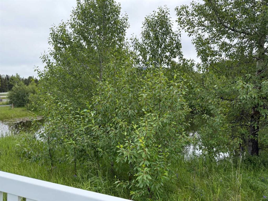 Fourth View of 331 Elizabeth Avenue , NONE, Nordegg, Alberta, T0M 2H0