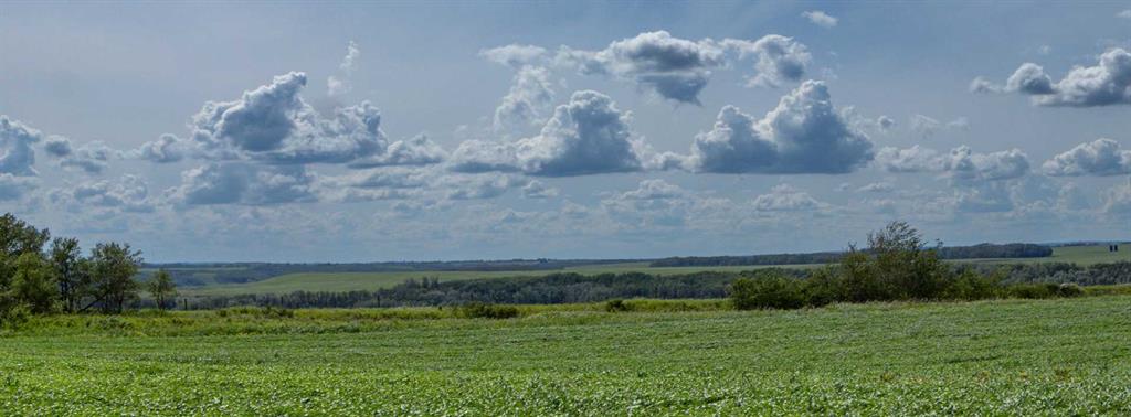  NE-8-50-36-4  , A2325255, Alberta,