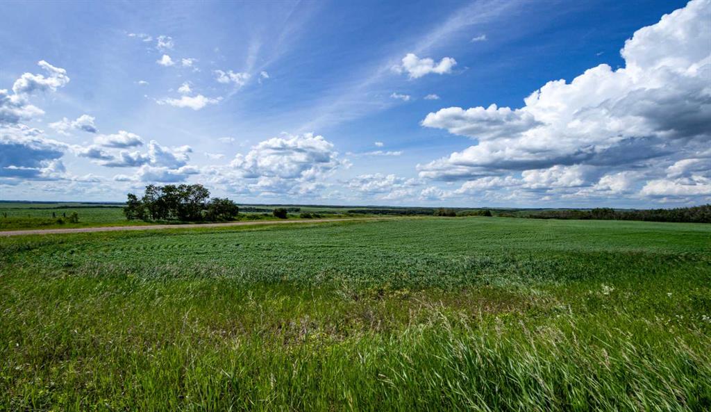 Fourth View of  NE-8-50-36-4  , NONE, Rural Minburn No. 27, County of, Alberta, T0B3B0