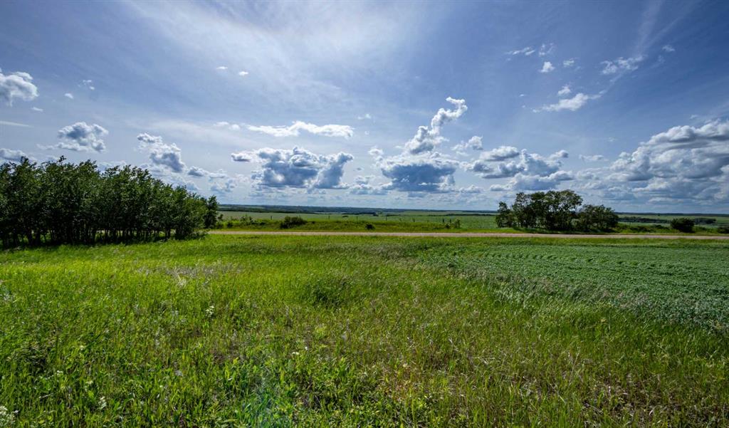 Fifth View of  NE-8-50-36-4  , NONE, Rural Minburn No. 27, County of, Alberta, T0B3B0