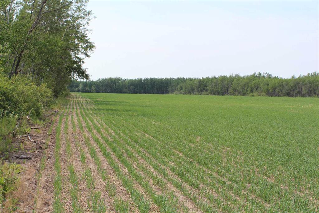 125 Range Road  SE, A2325466, Alberta,