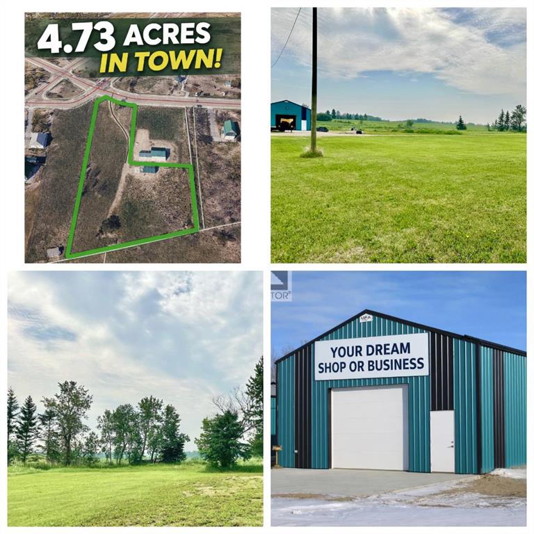 10307 94 Avenue , A2325701, Alberta,