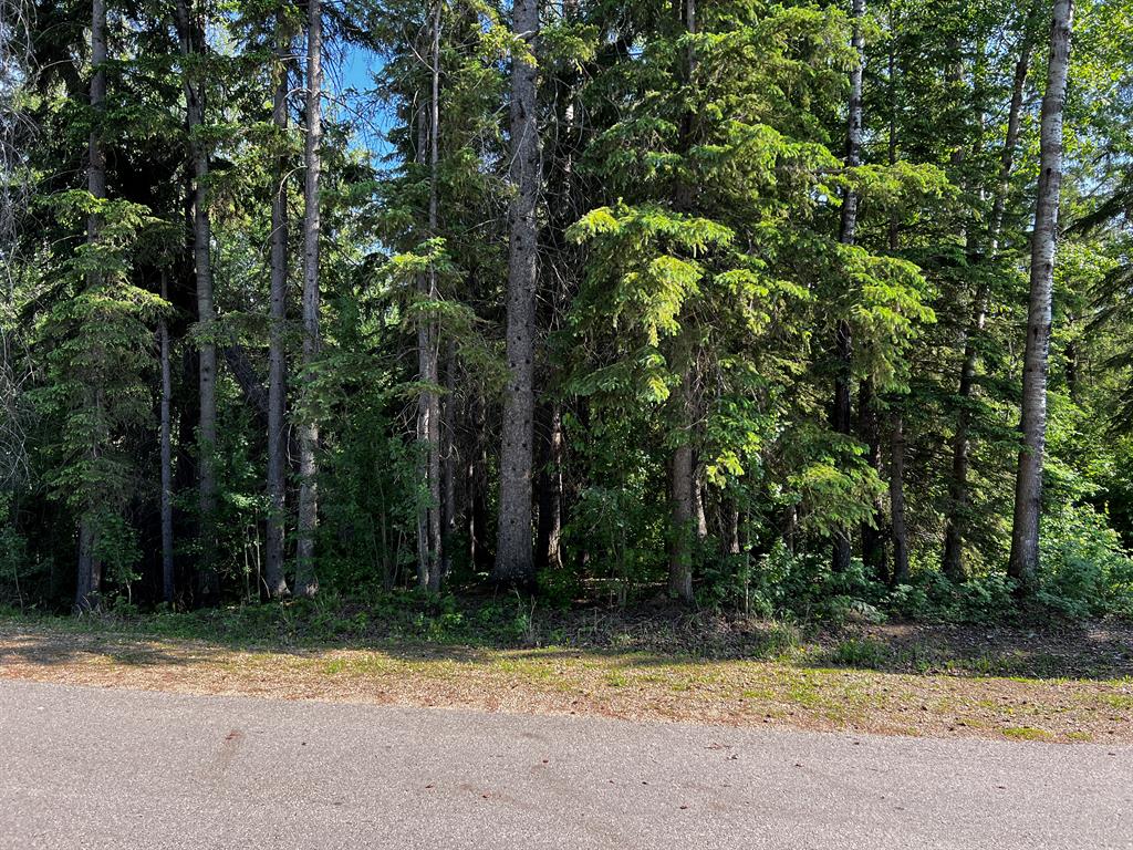 Fifth View of 128B, 10032 Township Road 422  , Raymond Shores, Rural Ponoka County, Alberta, T4J 1V9