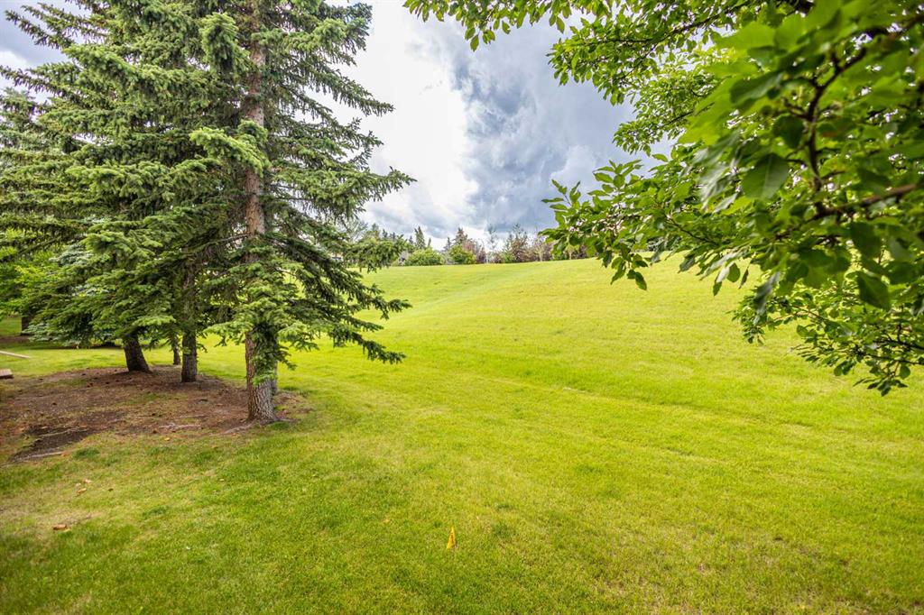 Third View of 17 Patina Park SW, Patterson, Calgary, Alberta, T3H 3E1
