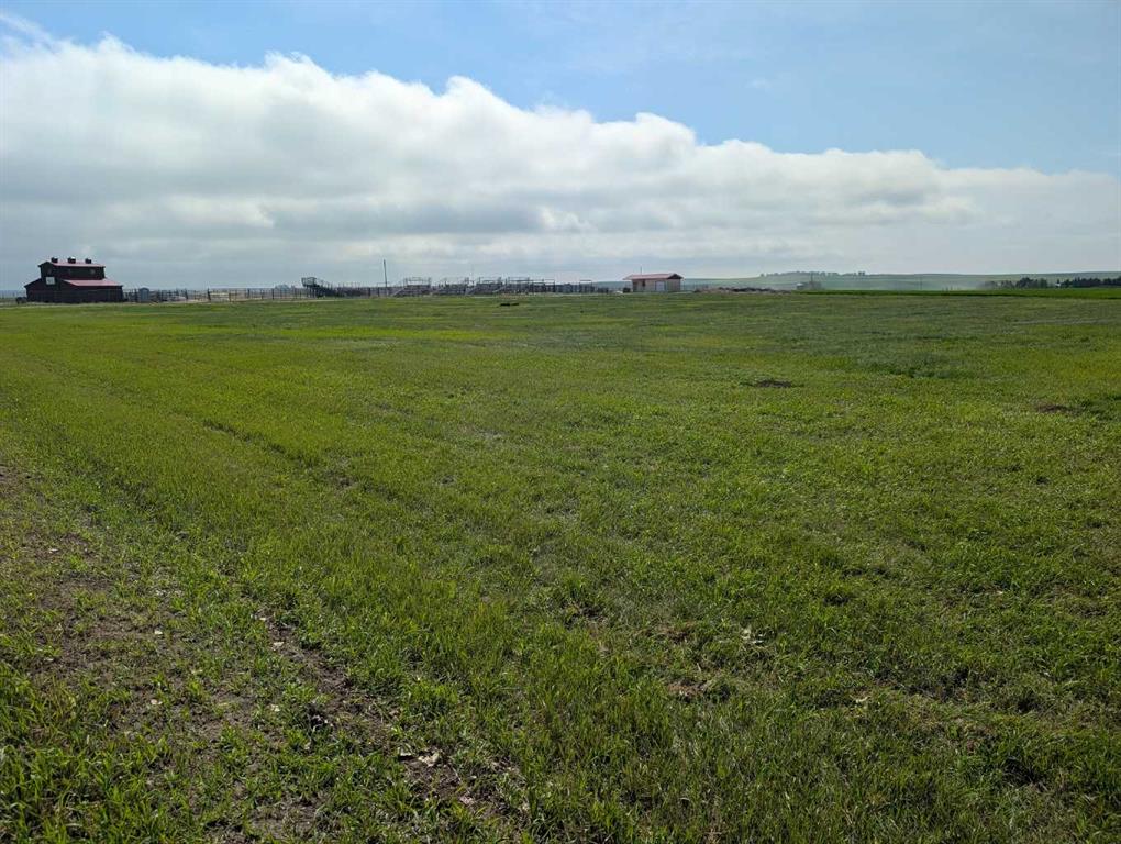 Fourth View of 237 North  , NONE, Trochu, Alberta, T0M2C0