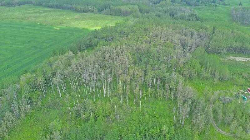 Fourth View of  Range Road 14  , NONE, Rural Ponoka County, Alberta, T0C 2J0