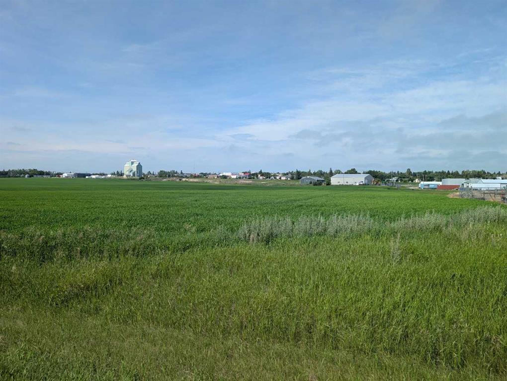 Fourth View of . 23-4 Range , NONE, Trochu, Alberta, T0M2C0