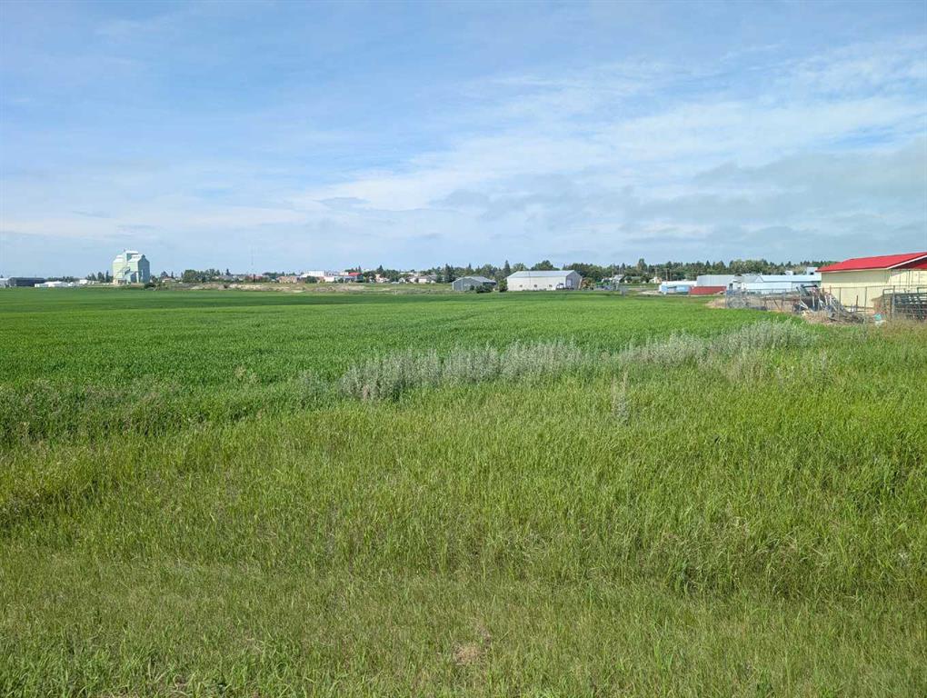Fifth View of . 23-4 Range , NONE, Trochu, Alberta, T0M2C0