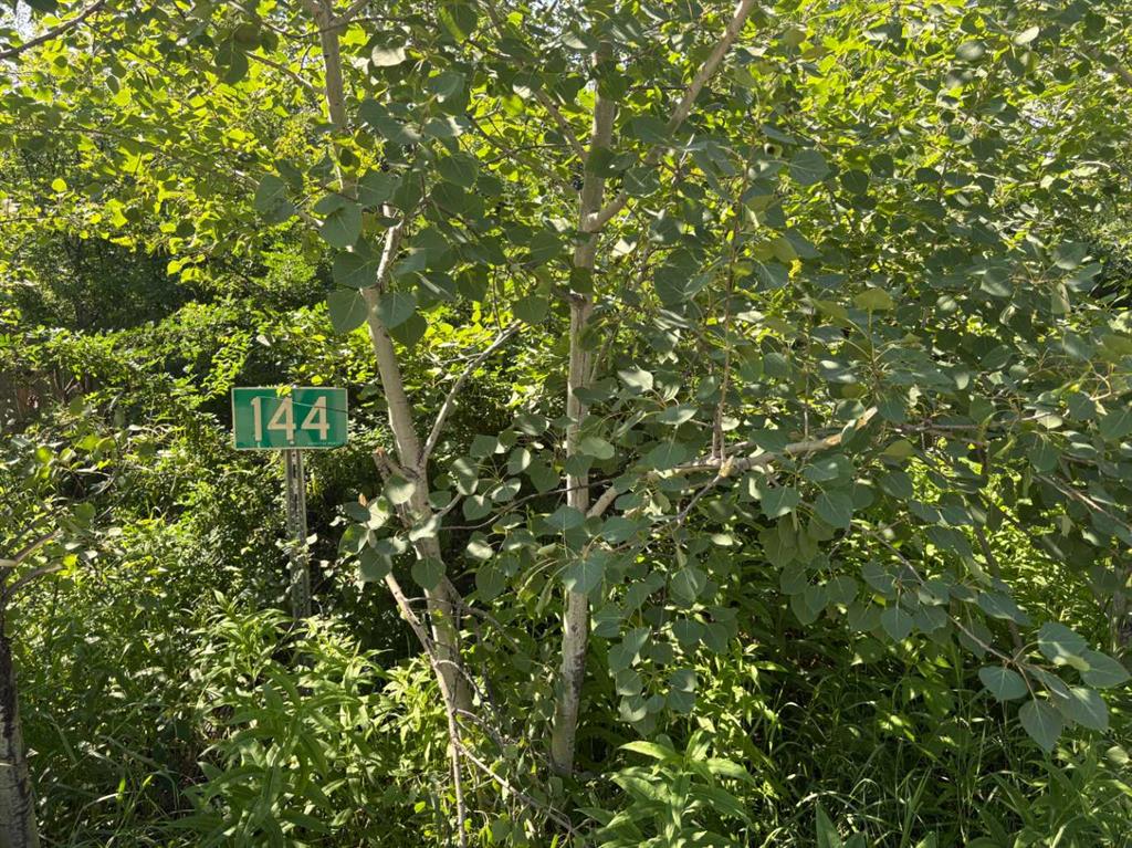 Third View of 144, 50528 Range Road  , NONE, Rural Minburn No. 27, County of, Alberta, T0B 2G0