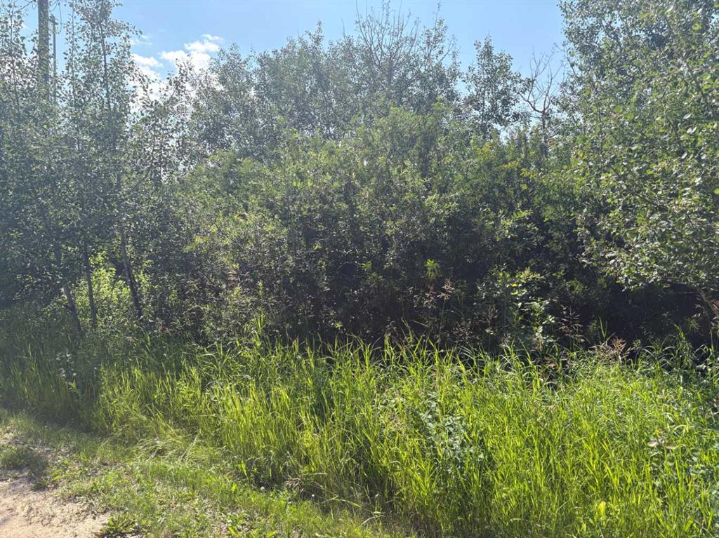 Fourth View of 144, 50528 Range Road  , NONE, Rural Minburn No. 27, County of, Alberta, T0B 2G0