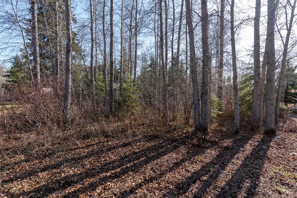 Fifth View of 916 Brightsand Place , NONE, Brightsand Lake, Saskatchewan, S0M 2Y0