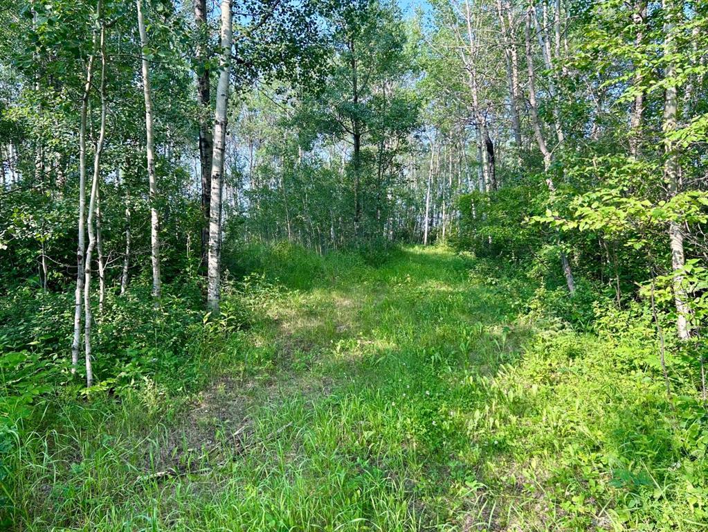 Fifth View of 222, 67325 Churchill Park Rd  , NONE, Lac La Biche, Alberta, T0A2C1