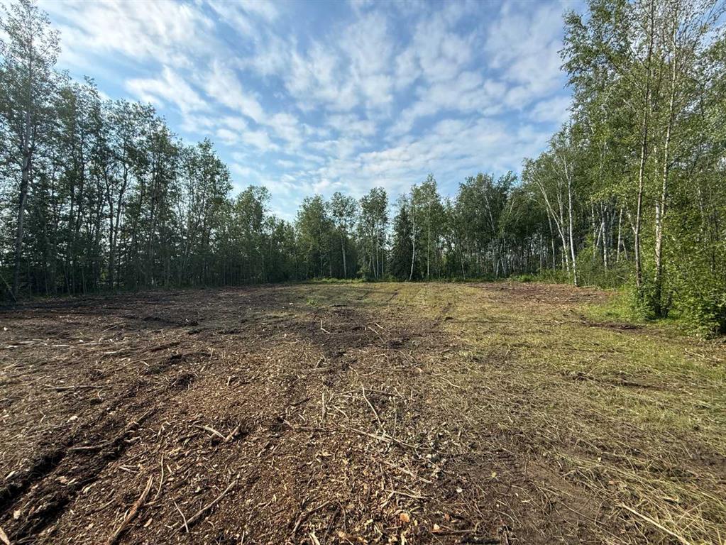 Fourth View of 52 654036 Range Road 222  , NONE, Rural Athabasca County, Alberta, T9S 2A5