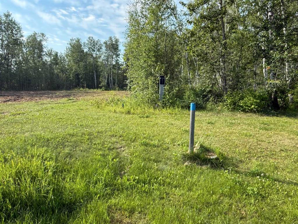 Fifth View of 52 654036 Range Road 222  , NONE, Rural Athabasca County, Alberta, T9S 2A5