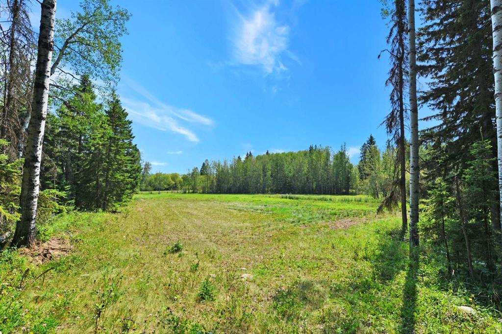 Fifth View of  On Range Rd 64  , NONE, Rural Clearwater County, Alberta, T4T 2A1