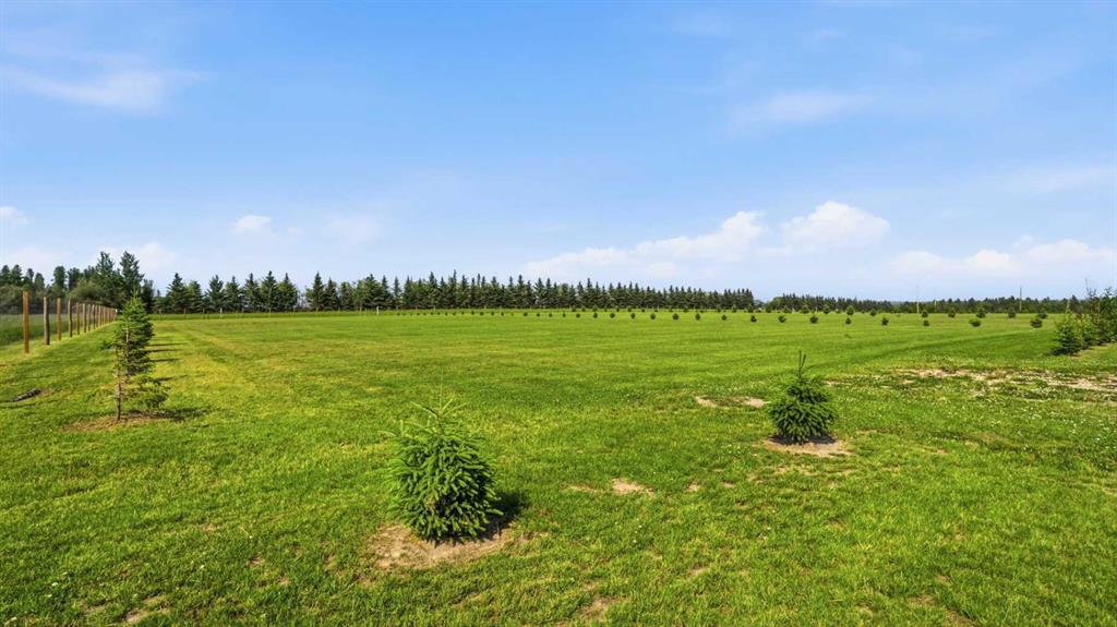 Fifth View of 404 62036 Twp Rd 462  , Hiland Spruce Estates, Rural Wetaskiwin No. 10, County of, Alberta, T0C 0T0